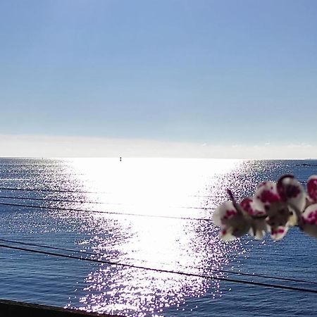 Studio Face A La Mer Concarneau Εξωτερικό φωτογραφία