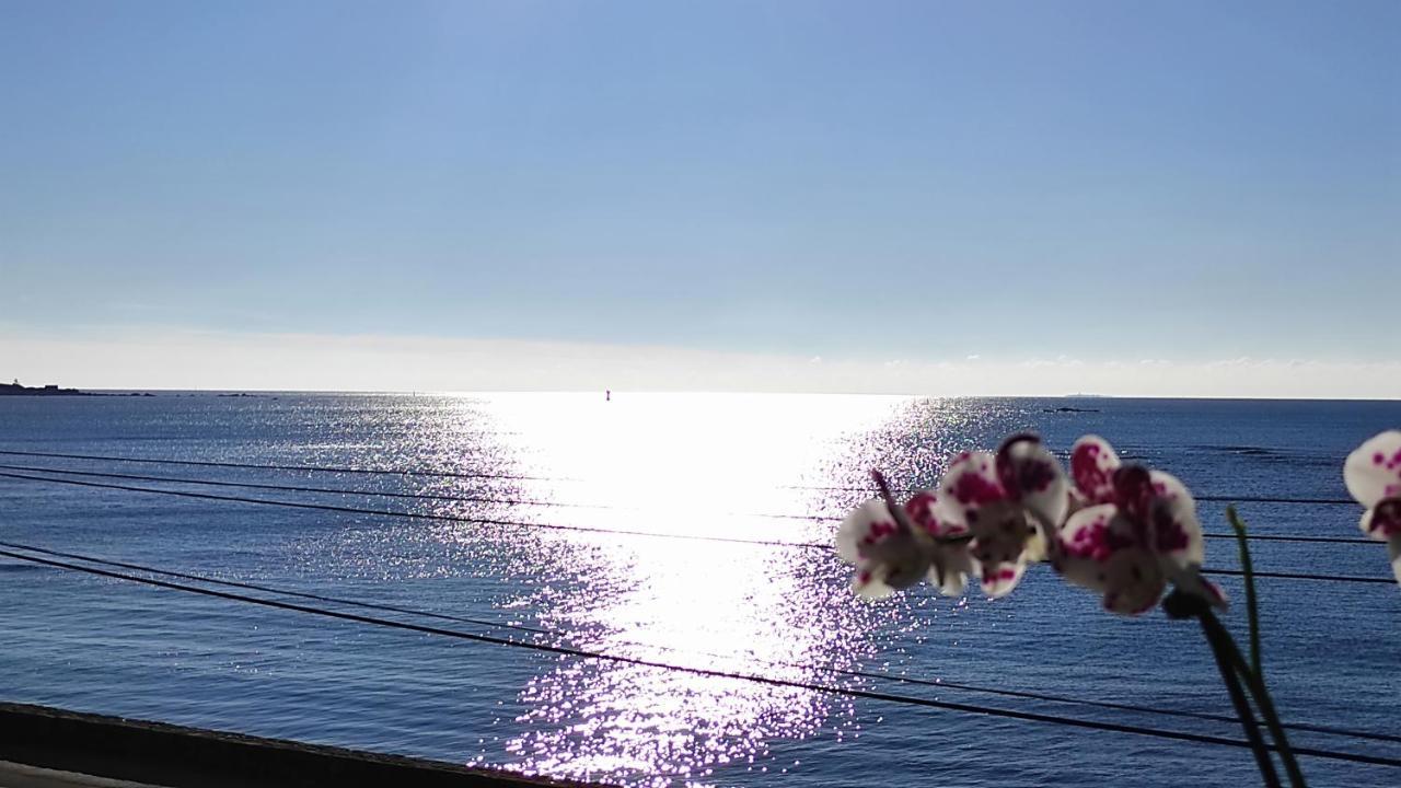 Studio Face A La Mer Concarneau Εξωτερικό φωτογραφία