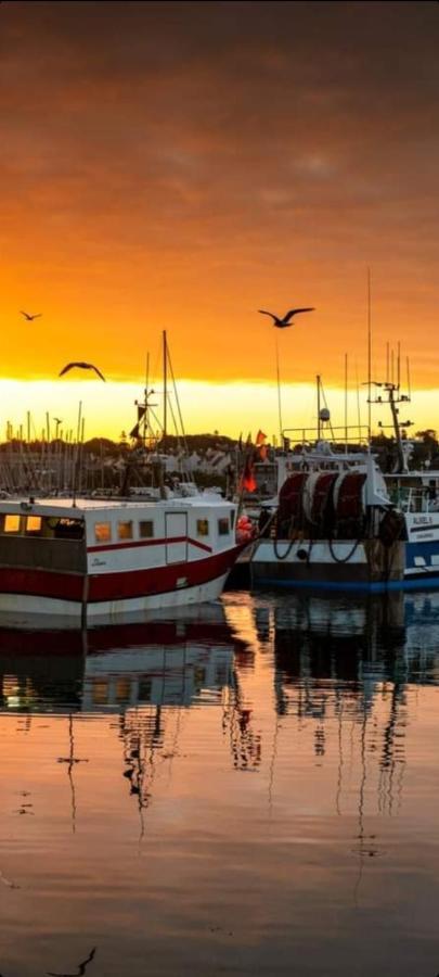 Studio Face A La Mer Concarneau Εξωτερικό φωτογραφία